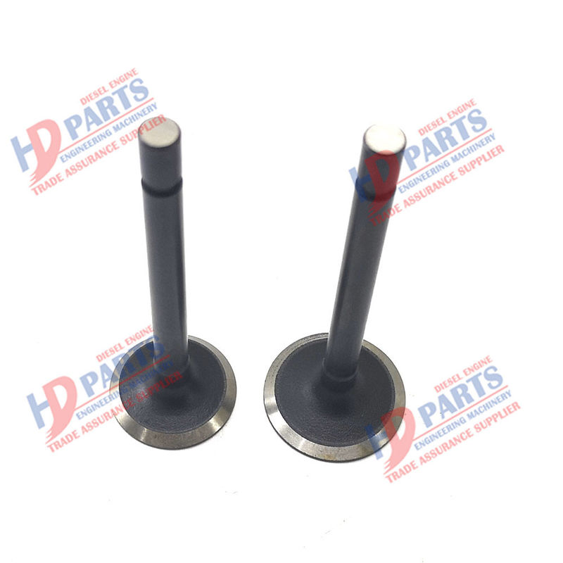 Z500 D650 D750 أجزاء محركات الديزل لـ 15261-13110 15261-13120 لـ KUBOTA Valve