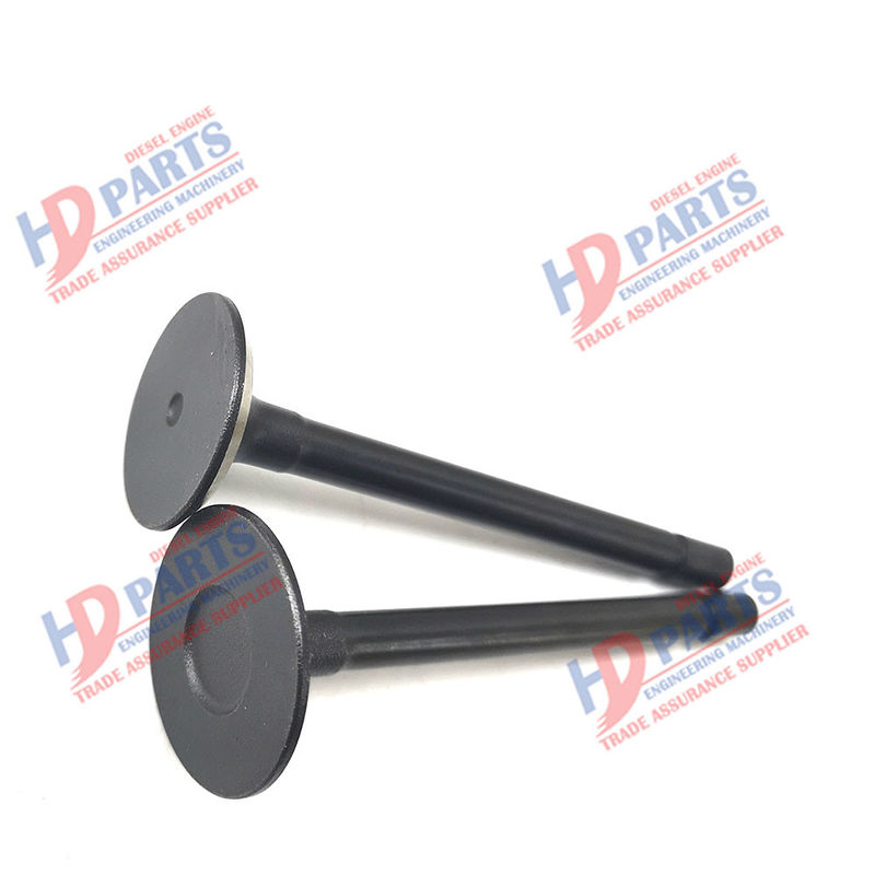 Z500 D650 D750 أجزاء محركات الديزل لـ 15261-13110 15261-13120 لـ KUBOTA Valve