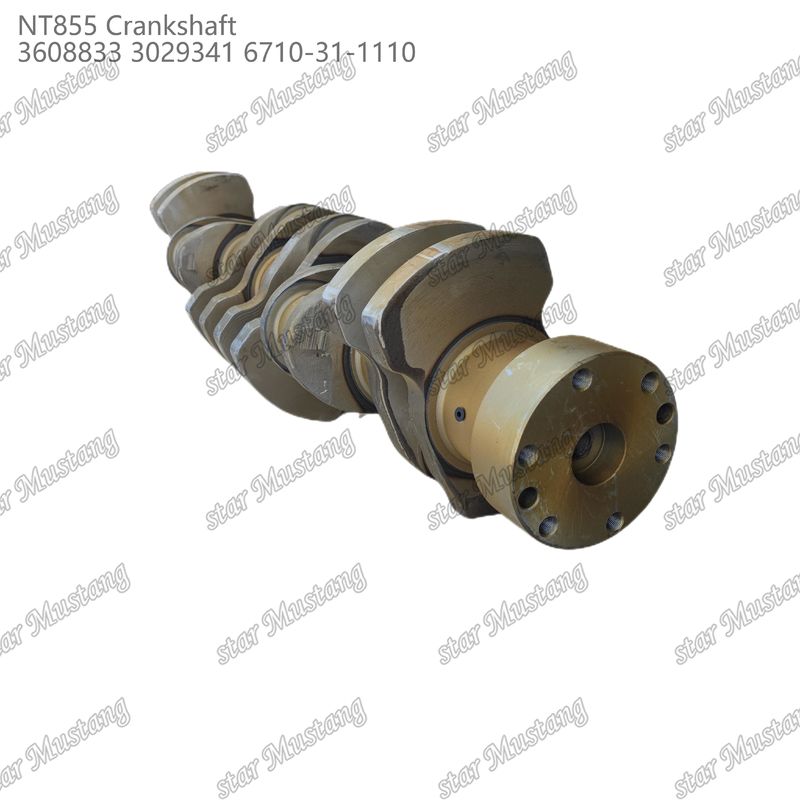عمود كرانكس NT855 الصلب المقلد 3608833 3029341 6710-31-1110 لأجزاء محركات Cummins