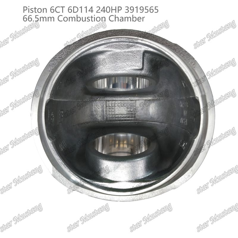 المكبس 6CT 6D114 240HP 3919565 66.5mm غرفة الاحتراق لأجزاء إصلاح محركات Cummins الديزل