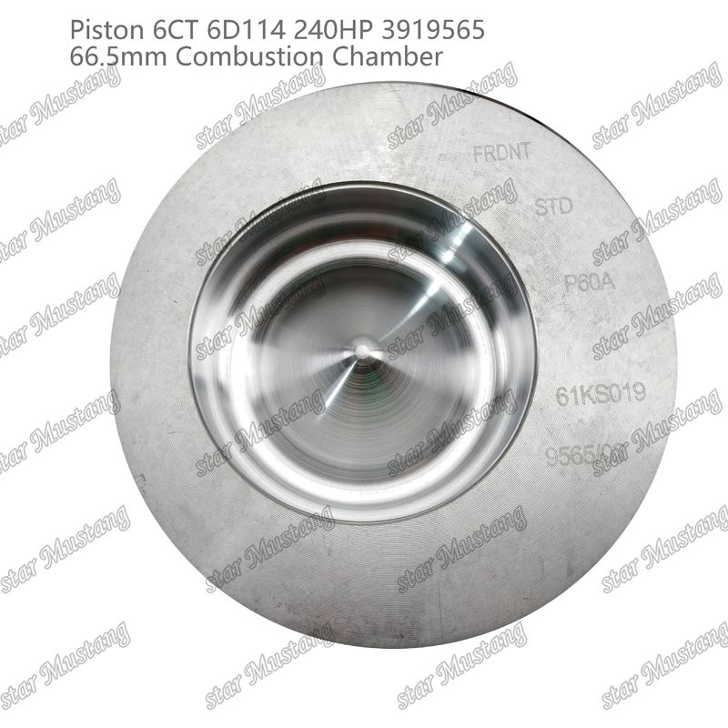 المكبس 6CT 6D114 240HP 3919565 66.5mm غرفة الاحتراق لأجزاء إصلاح محركات Cummins الديزل