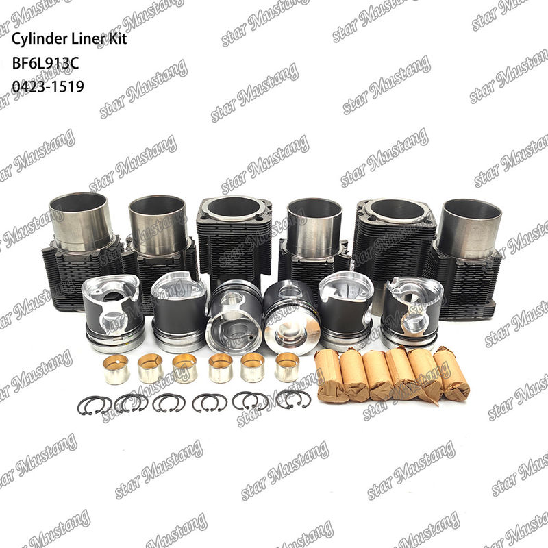 حزمة طلاء محركات الديزل في حالة جديدة لـ BF6L913C 0423-1519