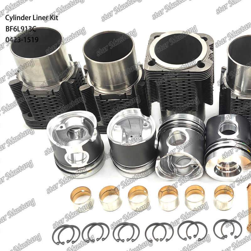 حزمة طلاء محركات الديزل في حالة جديدة لـ BF6L913C 0423-1519