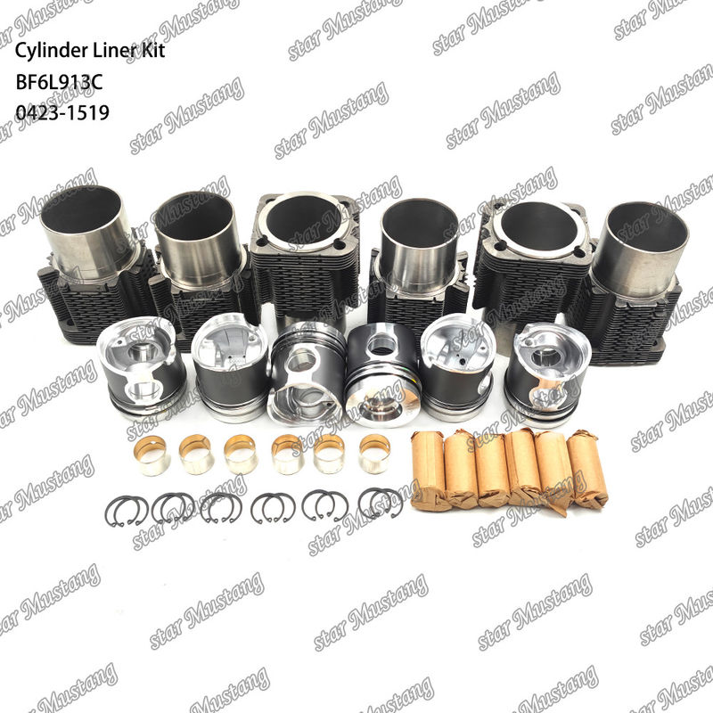 حزمة طلاء محركات الديزل في حالة جديدة لـ BF6L913C 0423-1519