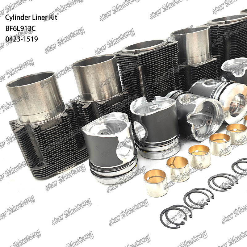 حزمة طلاء محركات الديزل في حالة جديدة لـ BF6L913C 0423-1519