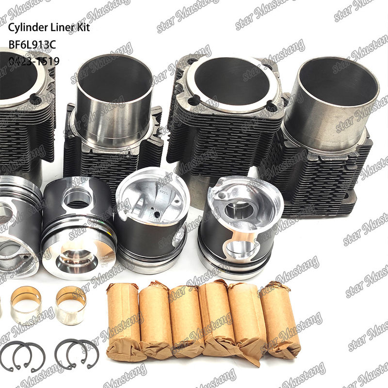 حزمة طلاء محركات الديزل في حالة جديدة لـ BF6L913C 0423-1519