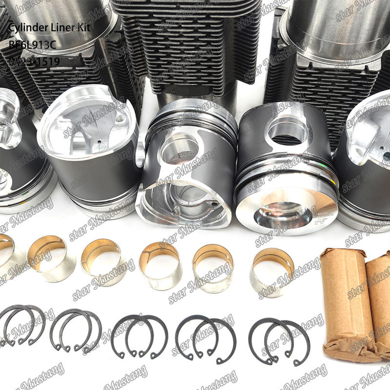 حزمة طلاء محركات الديزل في حالة جديدة لـ BF6L913C 0423-1519