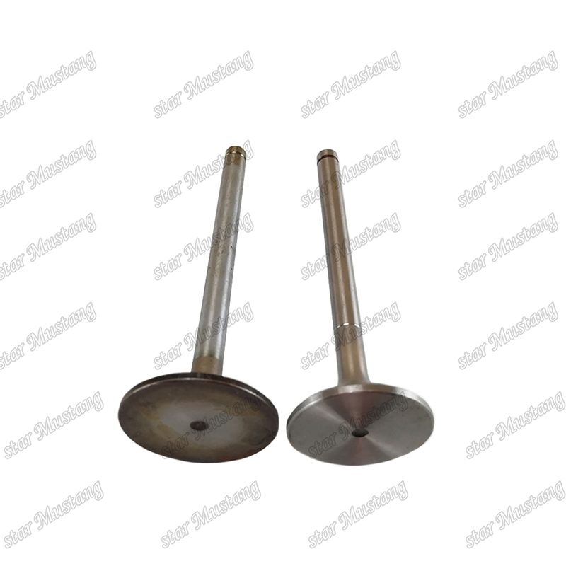 صمام EK100 EK130 EF750 13715-1060 13711-1450 مناسب لقطع غيار محرك هينو