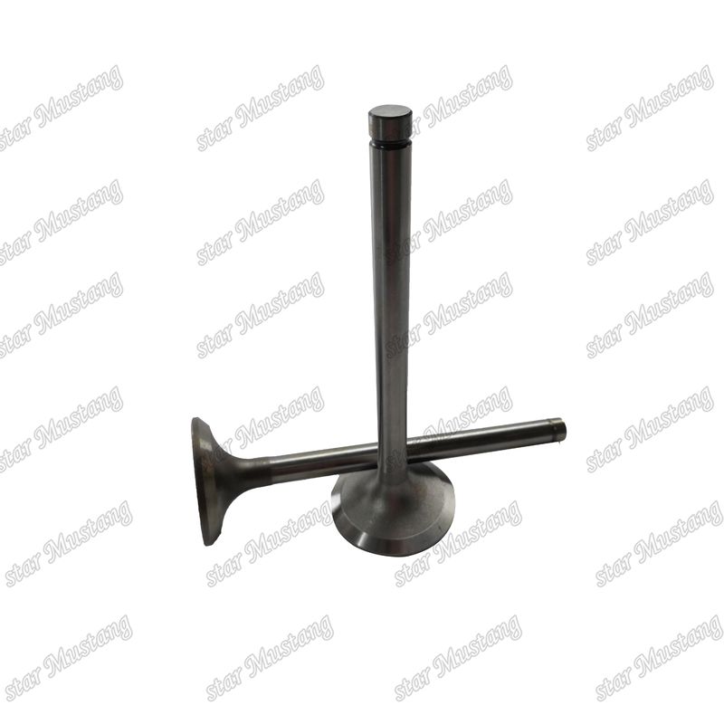 صمام EK100 EK130 EF750 13715-1060 13711-1450 مناسب لقطع غيار محرك هينو