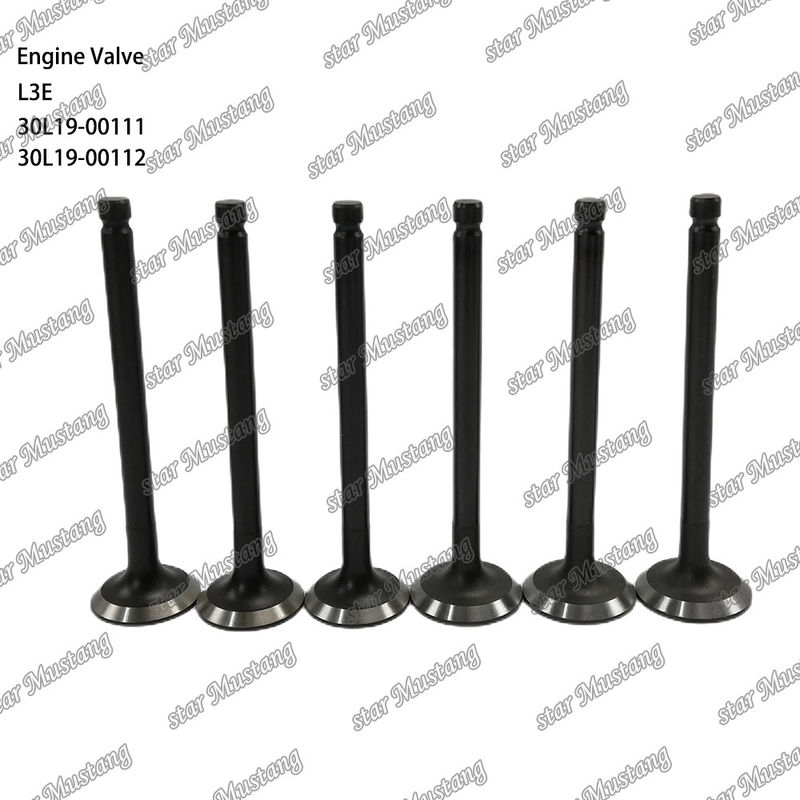 L3E 30L19-00111 30L19-00112 صمام محرك الديزل مناسب لقطع غيار Mitsubishi