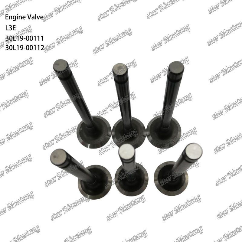 L3E 30L19-00111 30L19-00112 صمام محرك الديزل مناسب لقطع غيار Mitsubishi