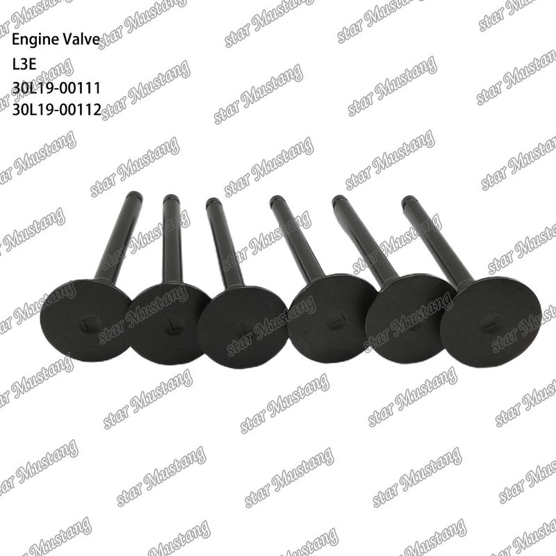 L3E 30L19-00111 30L19-00112 صمام محرك الديزل مناسب لقطع غيار Mitsubishi