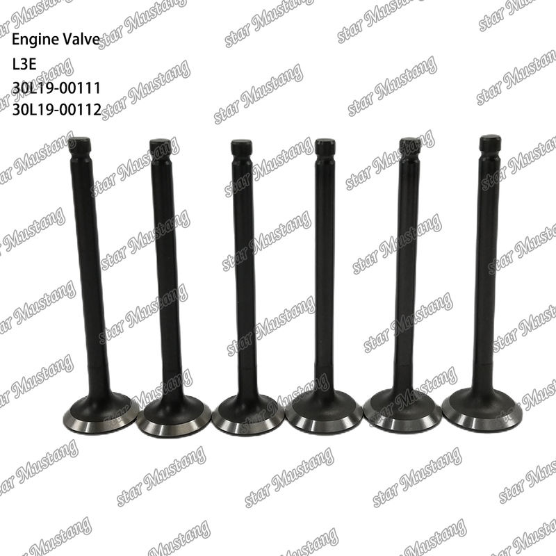 L3E 30L19-00111 30L19-00112 قطعة محرك الديزل الأصلية مع الدعم عبر الإنترنت بعد