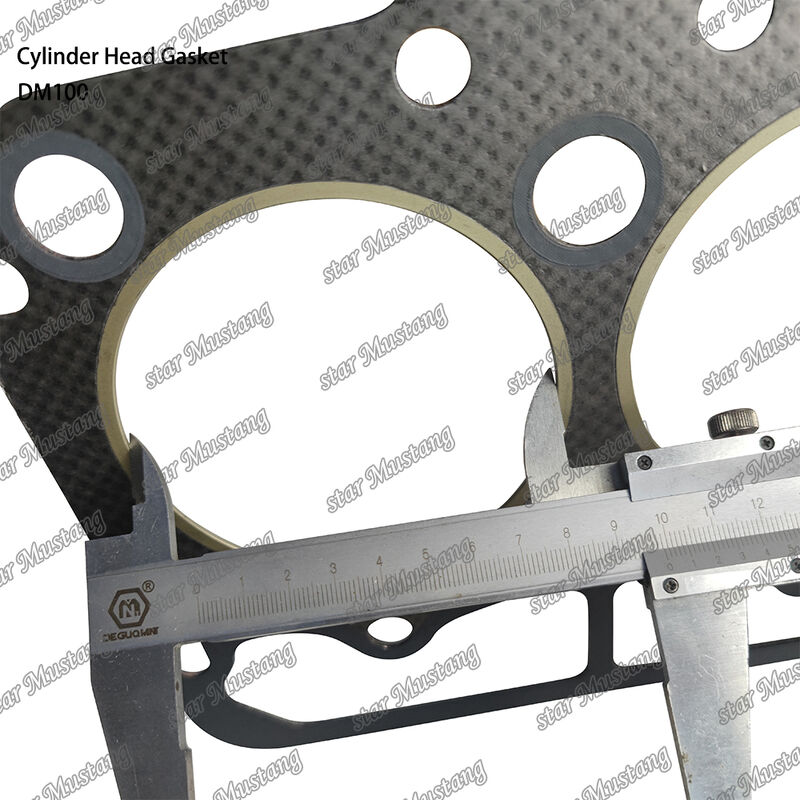 حشية رأس المحرك DM100 لمحرك الديزل بهيكل متكامل وحجم OEM